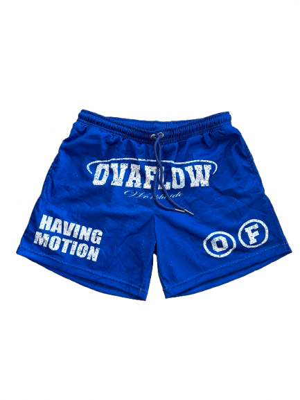 BLUE “HAVING MOTION” MESH SHORTS